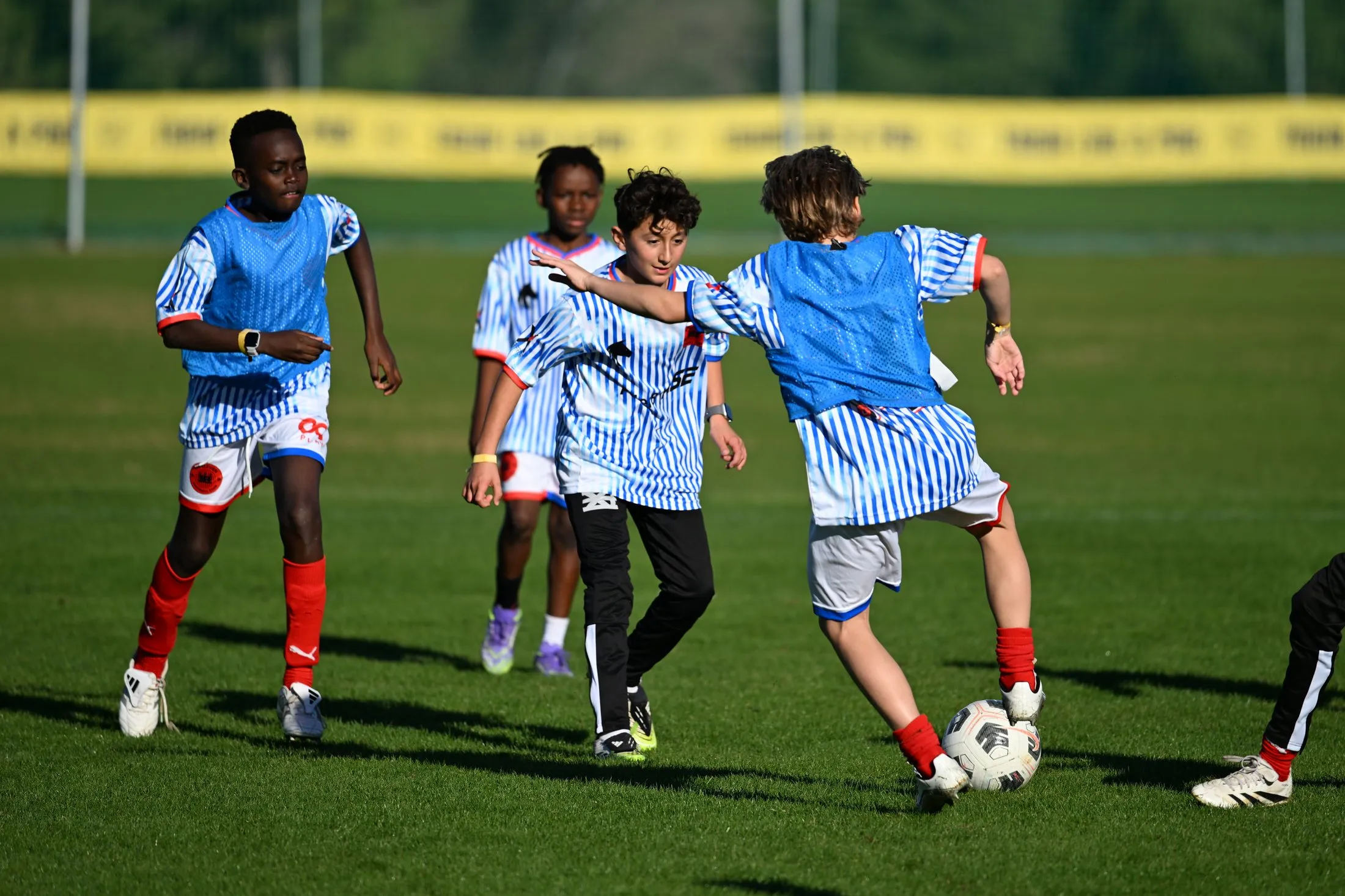 Young players in striped shirts and blue bibs scrimmage for the ball.